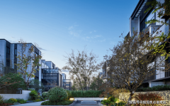 目全面引见（包含楼盘简介