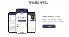孕育出一批以手艺立异驱动的正在片系统办事商